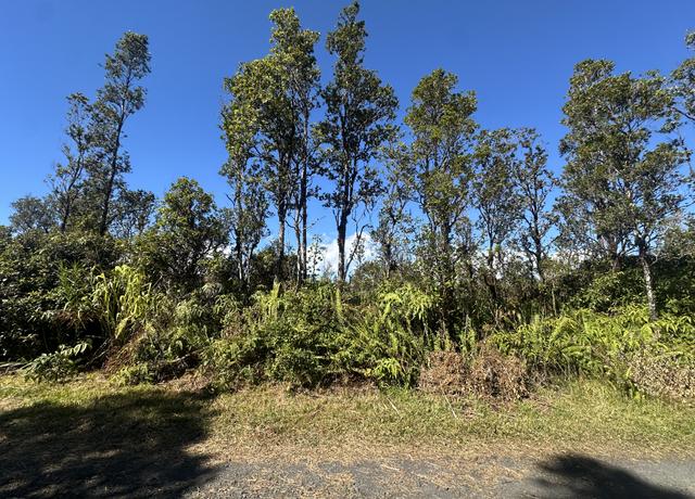 Property at Wailele St, Mountain View, HI 96771