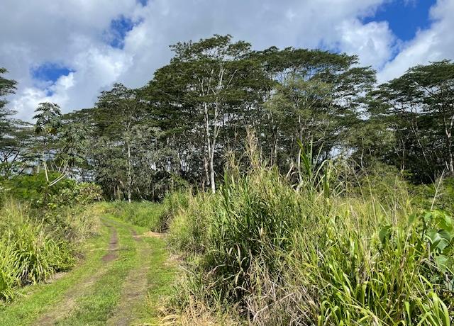 Property at KURTISTOWN, HI 96760, Kurtistown, HI 96760