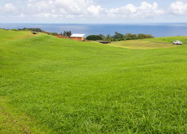 Property at 36-3358 Kuwili Lani Pl, Laupahoehoe, HI 96764