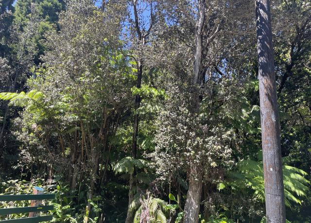 Property at VOLCANO, HI 96785, Volcano, HI 96785