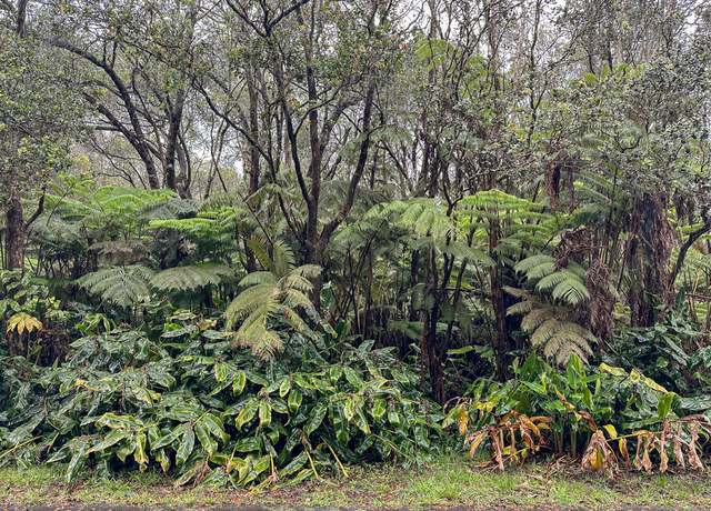 Property at 11-3820 5th St, Volcano, HI 96785