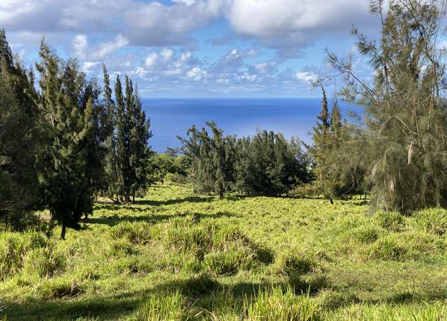 Property at 44-43 Paauhau St, Honokaa, HI 96727