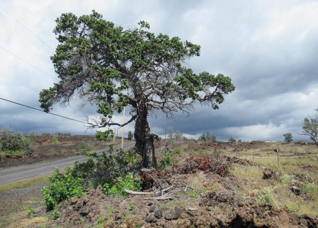 Property at Kohala Blvd, Ocean View, HI 96737
