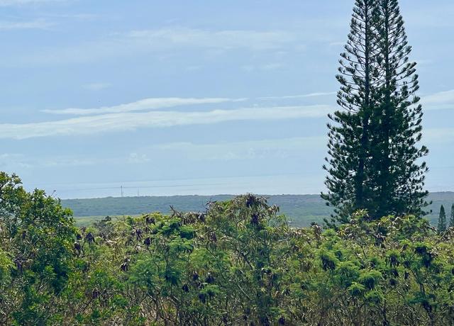 Property at Hekau St, Naalehu, HI 96772