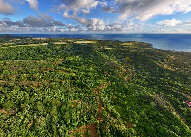 Property at 6565-C Koolau Rd, Anahola, HI 96746
