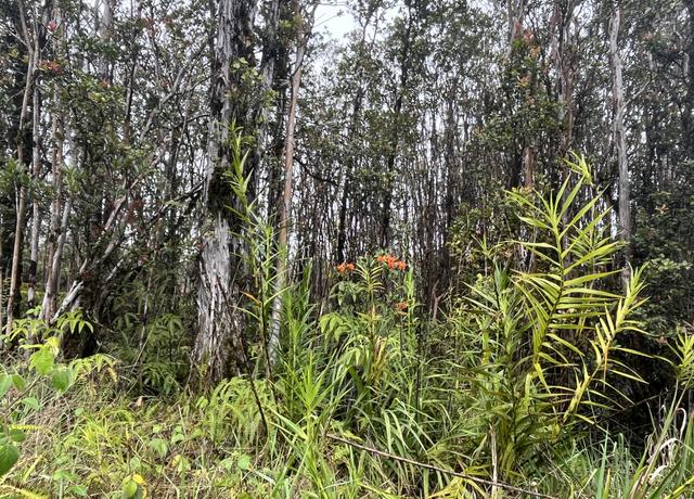 Property at Leila Rd, Volcano, HI 96785