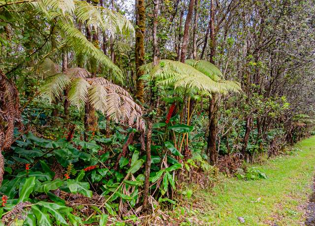 Property at 11-3849 9th St, Volcano, HI 96785
