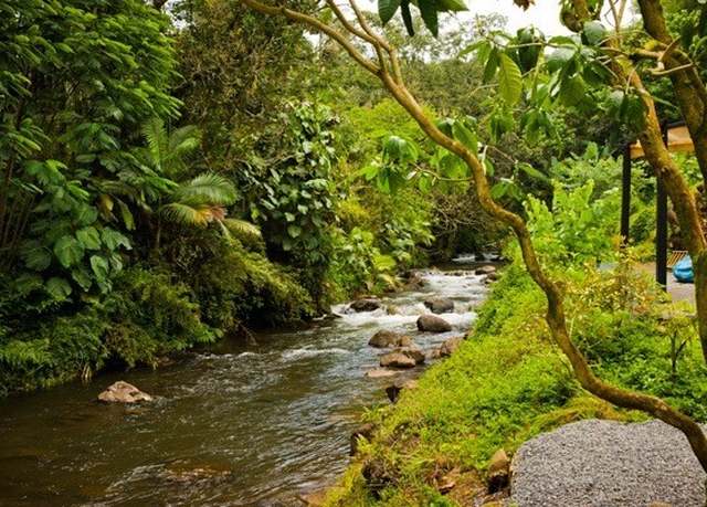 Property at 289 Wainaku St, Hilo, HI 96720