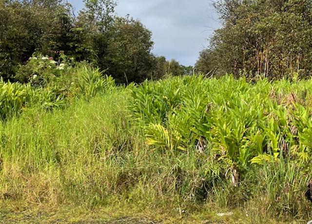 Property at 18-2019 Pua St, Volcano, HI 96785