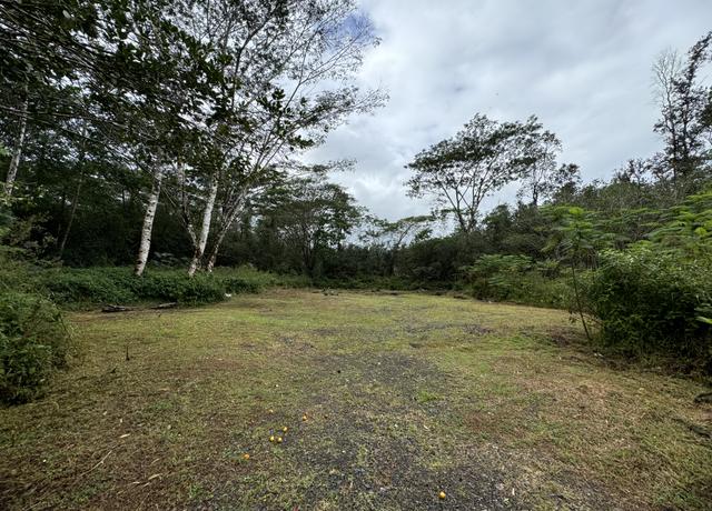 Property at 16-1122 Moho Rd, Mountain View, HI 96760