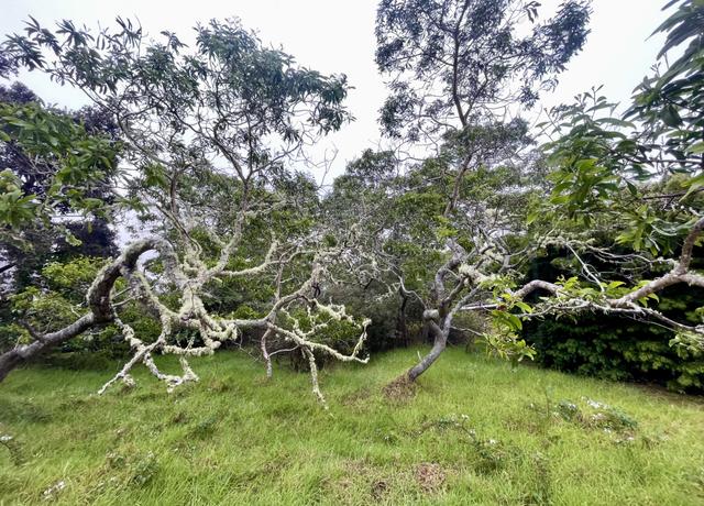 Property at 99-1945 Pukeawe Cir, Hawaiian Natl Park, HI 96718