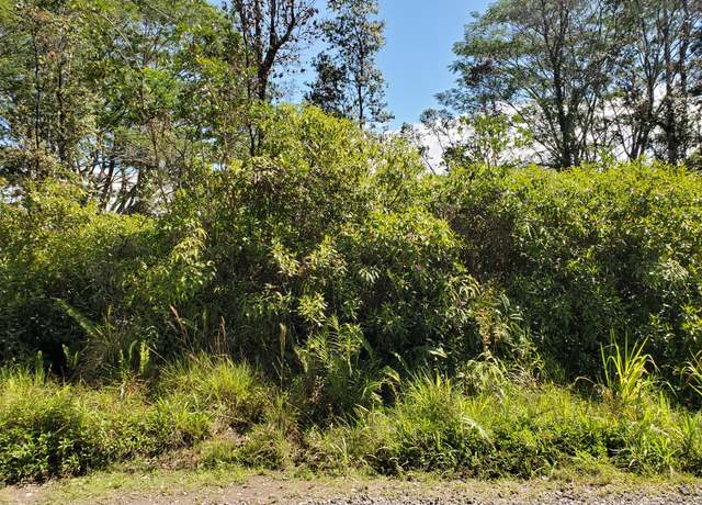 Property at 37th Ave, Kurtistown, HI 96760
