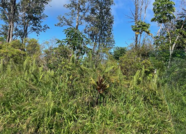Property at 15-2811 Lai St, Pahoa, HI 96778