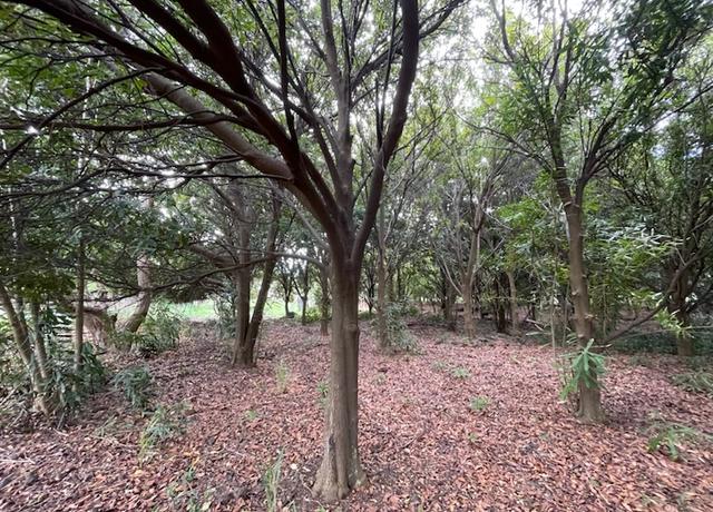 Property at Puka St, Naalehu, HI 96772