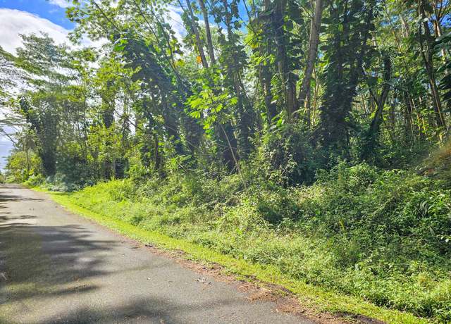 Property at Flower Rd, Pahoa, HI 96778