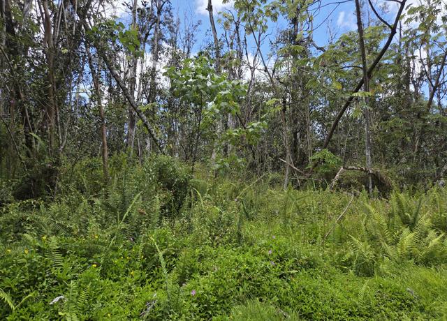 Property at Oahu Rd, Pahoa, HI 96778