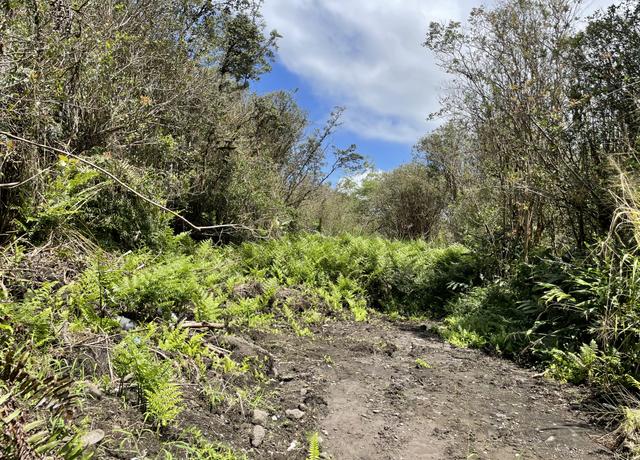 Property at 16-1153-A Uhini Ana Rd, Mountain View, HI 96760
