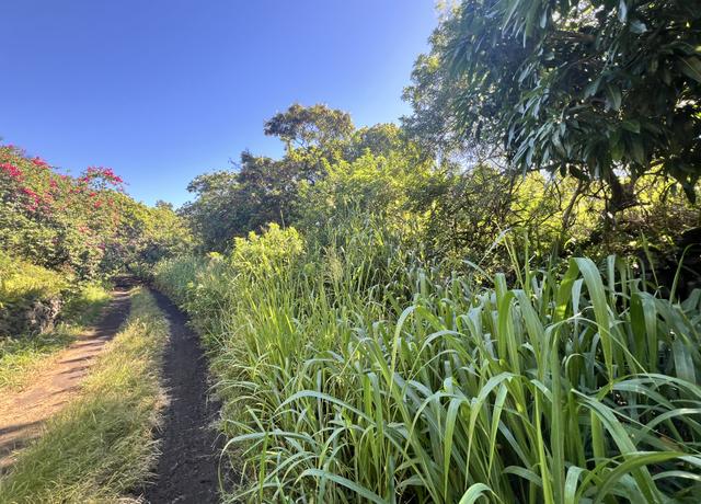 Property at Palaoa Rd, Naalehu, HI 96772
