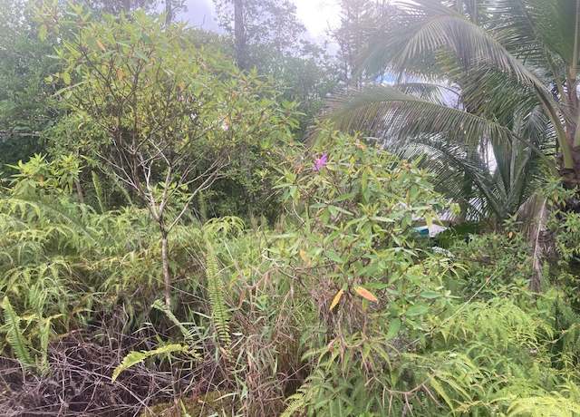 Property at King Kamehameha Blvd, Pahoa, HI 96778