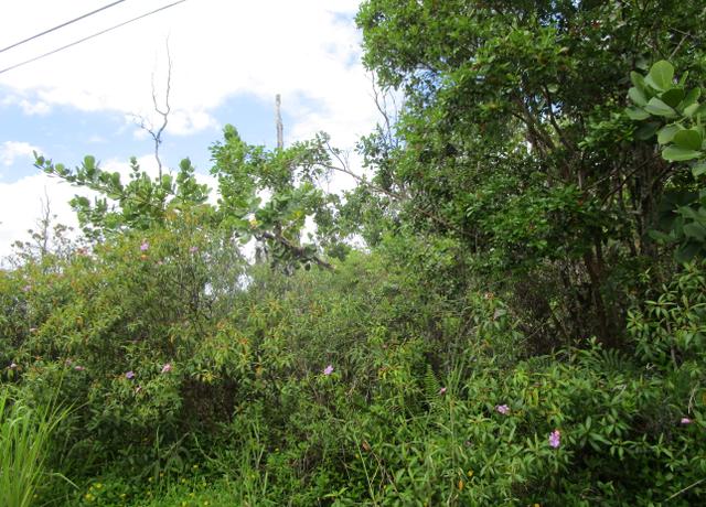 Property at 12th Ave, Keaau, HI 96749