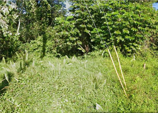 Property at Kawakawa St, Pahoa, HI 96778