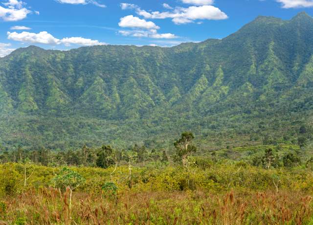 Property at 2812 Kamookoa Rd #5, Kilauea, HI 96722