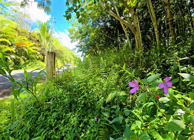 Property at Nohea St, Pahoa, HI 96778