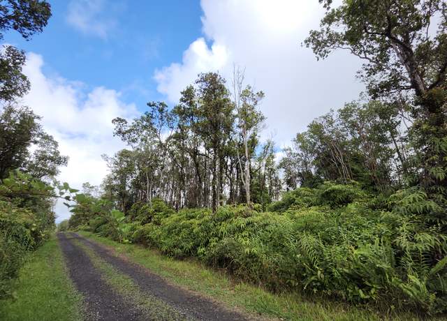 Property at Ala Naualani, Volcano, HI 96785