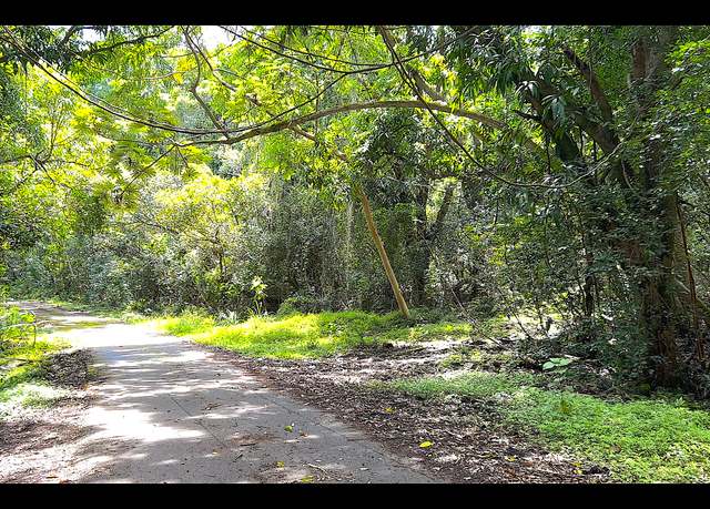 Property at PAHOA, HI 96778, Pahoa, HI 96778