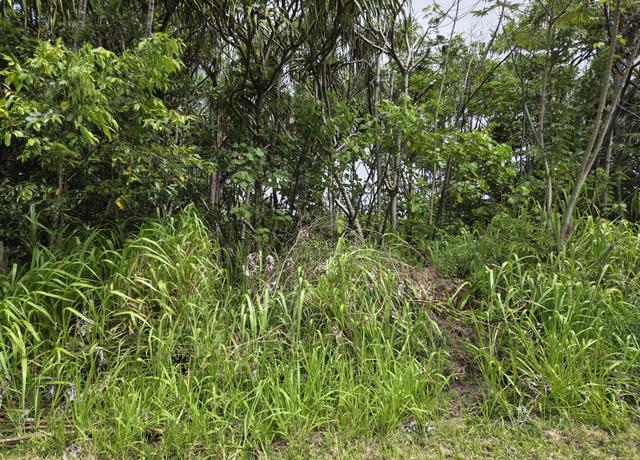 Property at Wehelauniu St, Pahoa, HI 96778