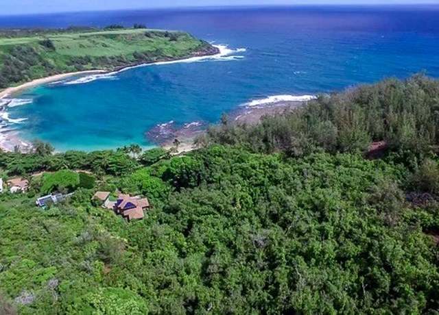 Property at Moloaa Rd, Anahola, HI 96703