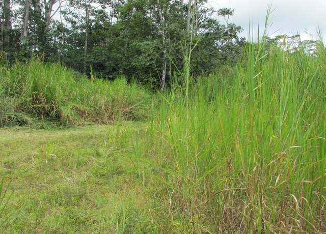 Property at 14-3547 Nanawale Blvd, Pahoa, HI 96778