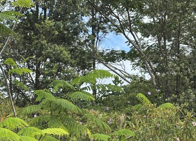 Property at Niihau Rd, Pahoa, HI 96778