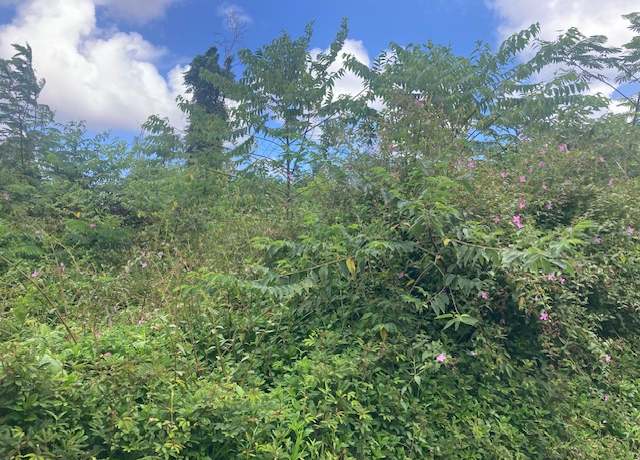 Property at 14-3479 Shell Rd, Pahoa, HI 96778