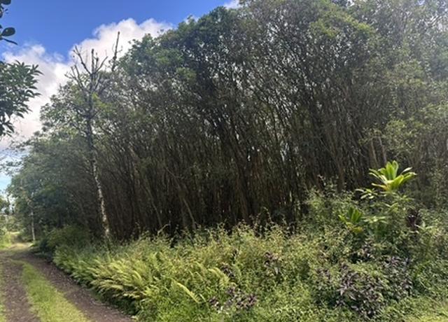 Property at 12-559 Hawaii St, Pahoa, HI 96778