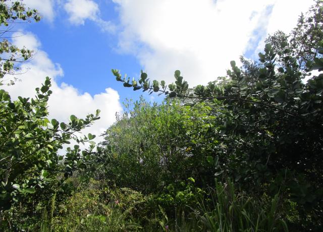 Property at 12th Ave, Keaau, HI 96749