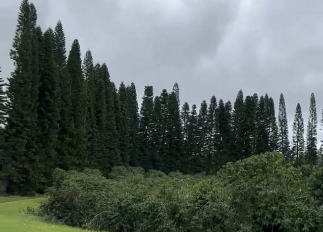 Property at 96-1977 Kumupea Rd, Pahala, HI 96777