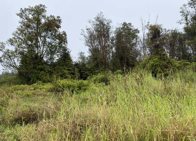 Property at Hinuhinu St, Volcano, HI 96785