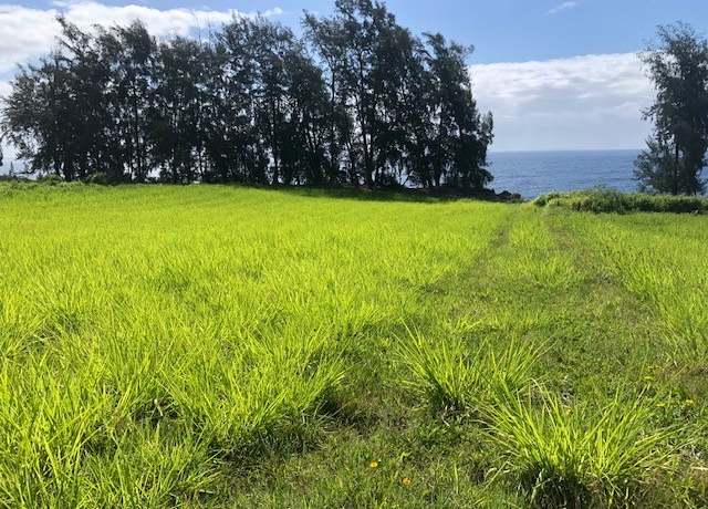 Property at Loa Rd. Lot#79, Pepeekeo, HI 96783