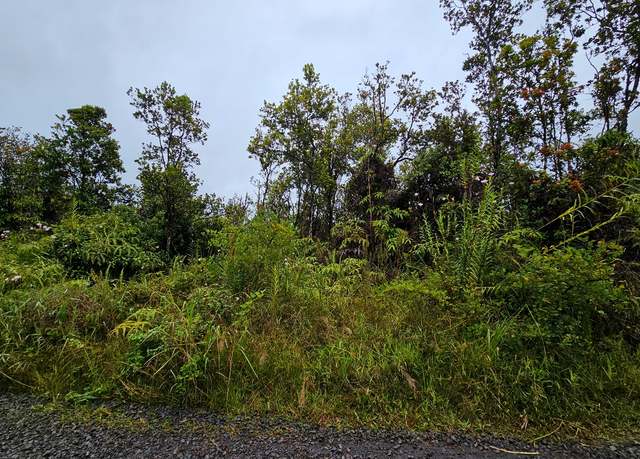 Property at Makoa Rd, Volcano, HI 96785