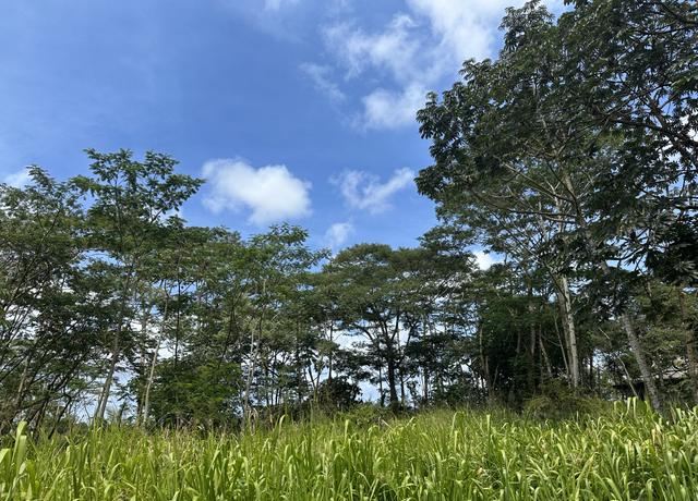 Property at Tiki Rd, Keaau, HI 96749