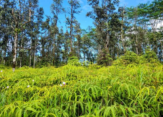 Property at Kehau Rd, Pahoa, HI 96778
