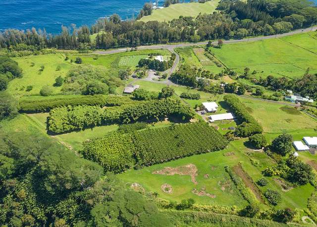 Property at 28-1829 Old Mamalahoa Hwy, Honomu, HI 96728