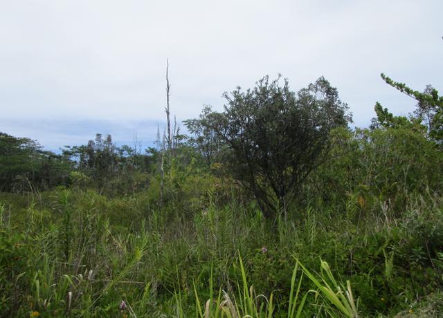 Property at 4th Ave, Keaau, HI 96749
