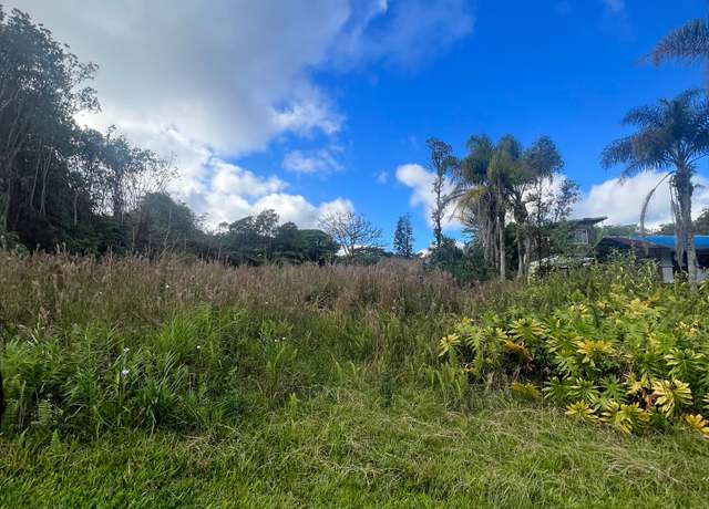 Property at 18-1268 Hawaii St, Mountain View, HI 96771
