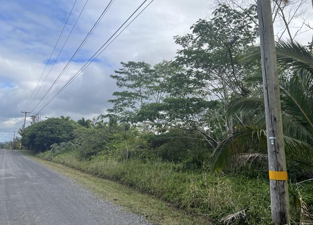 Property at 15-1590 17th Ave, Keaau, HI 96749