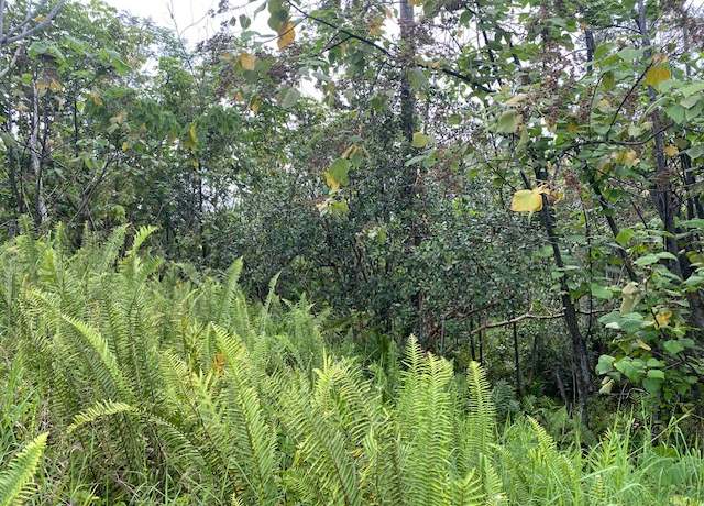 Property at Pohakupele Loop, Pahoa, HI 96778