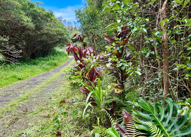 Property at Molokai St, Pahoa, HI 96778