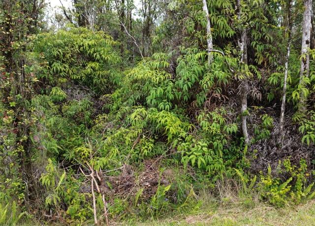 Property at Ohia Ave, Volcano, HI 96785