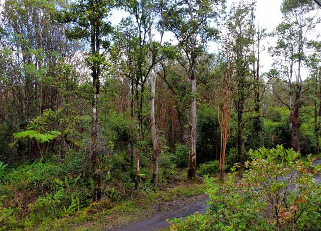 Property at Road 9, Volcano, HI 96785